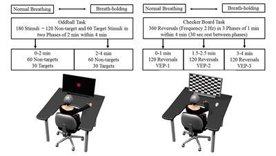 Neurocognitive Markers During Prolonged Breath-Holding in Freedivers: An Event-Related EEG Study